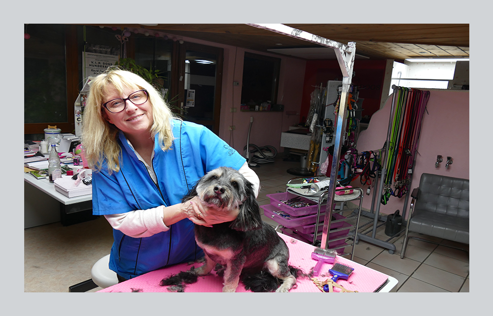 Frau am Schreibtisch